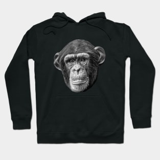 Chimpanzee Hoodie